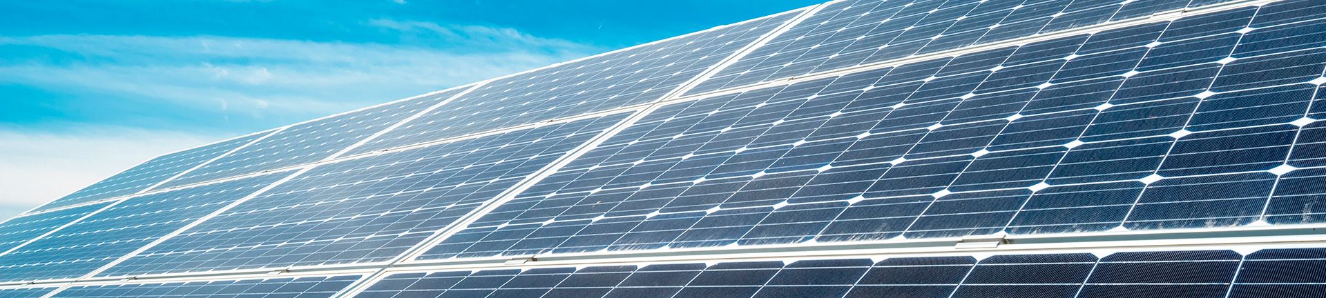 Bandeau entreprendre pour la protection de l'environnement