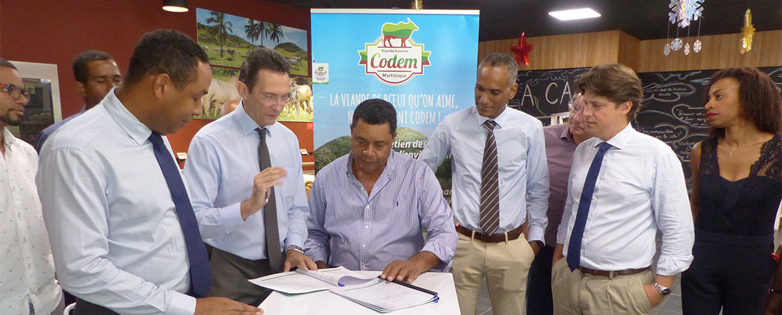 GBH et la Coopérative des éleveurs bovins de la Martinique (Codem) signe une charte