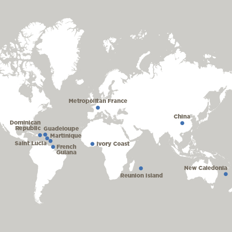 Industrial and diversified activities