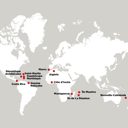Carte distribution automobile