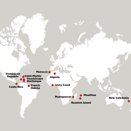 Carte distribution automobile