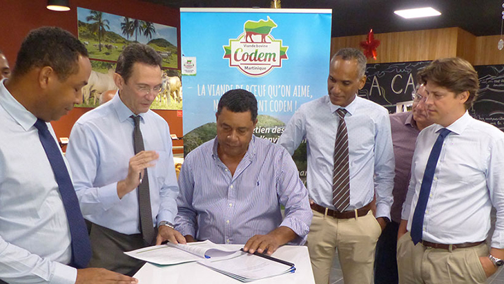 GBH et la Coopérative des éleveurs bovins de la Martinique (Codem) valorisent la qualité de la viande locale